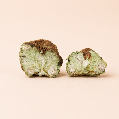 Silvervine galls